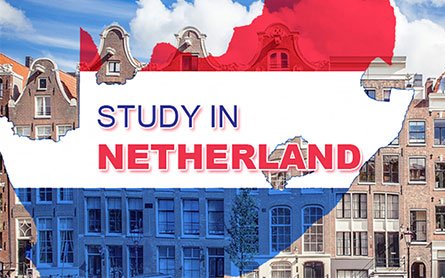 RK Overseas, Netherland template